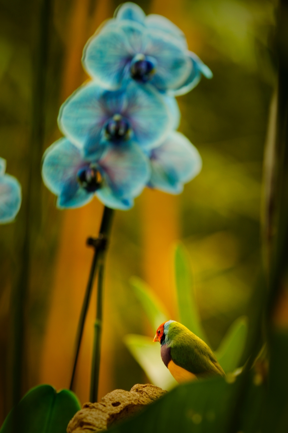 Nature photography